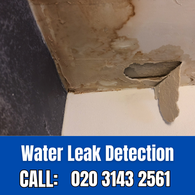 Expert Water Leak Detection Services in Kingston upon Thames | Kingston upon Thames Leak Detection